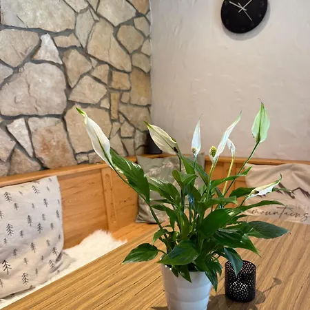 Guest house Bergfreude Berwang