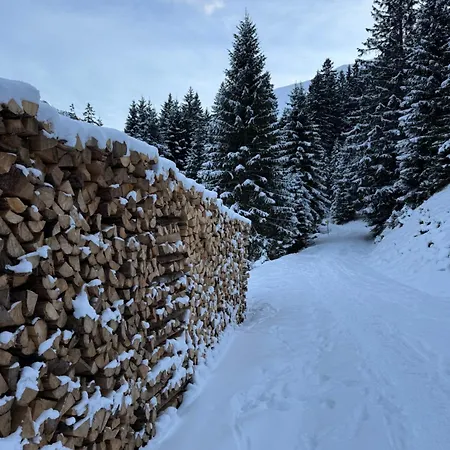 Bergfreude 3*