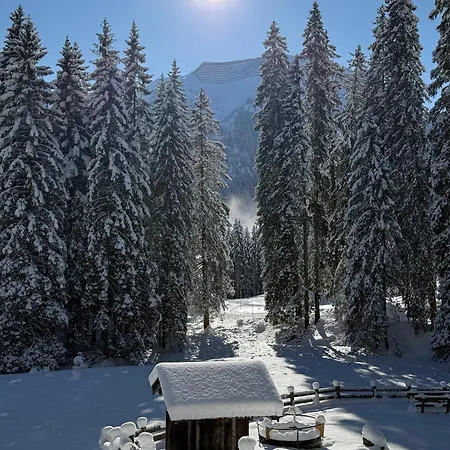 Bergfreude 3*