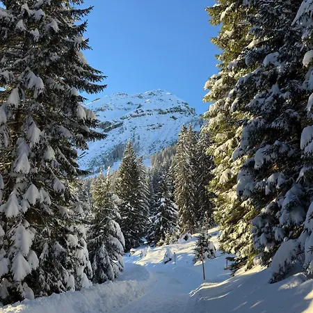 Bergfreude Affittacamere 3*