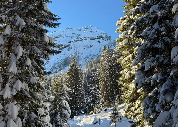 Bergfreude Casa de hóspedes 3*