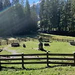 Bergfreude 3* Berwang